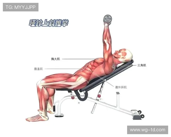 适合练肩部的健身器材推荐及使用方法