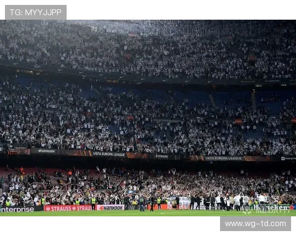 德甲氛围最火爆的球队主场是哪一个？球迷体验全解析