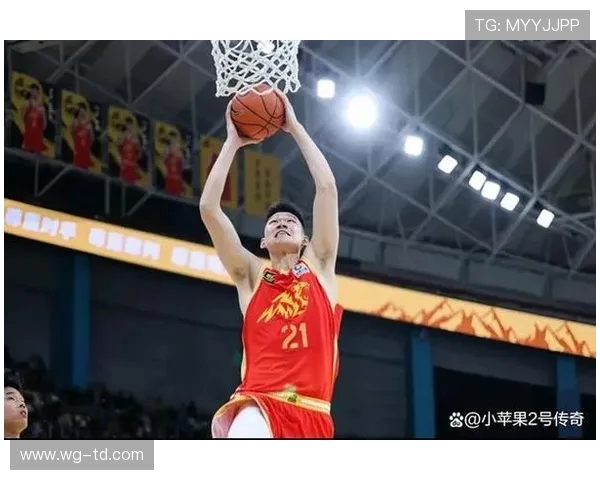 浙江省CBA篮球队员名单及球员实力分析